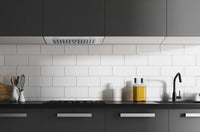 Hauslane 30-Inch Built-In Stainless Steel Range Hood - IN-R100SS-30|Hotte de cuisinière encastrée Hauslane de 30 po en acier inoxydable - IN-R100SS-30