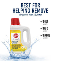 Hoover Renewal Carpet Cleaning Formula 128Oz (2 Pack) 
