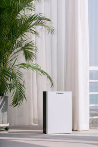Westinghouse HEPA NCCO Large Room Air Purifier|Purificateur d’air pour grande pièce de Westinghouse avec filtre HEPA et technologie NCCO