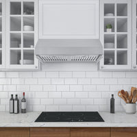Ancona 30" Under Cabinet Range Hood with Utensil Hooks - AN-1278 | Hotte de cuisinière sous l'armoire Ancona de 30 po avec crochets à ustensiles - AN-1278 | D77GFIV0