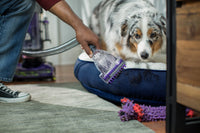 Dirt Devil Power Max Rewind Pet Upright Vacuum | Aspirateur vertical Power Max Rewind Pet de Dirt Devil | D07HW125