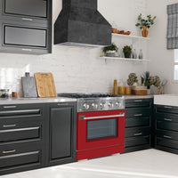 Ancona 4.2 Cu. Ft. Dual Fuel Convection Range - AN-2330SSRD | Cuisinière hybride Ancona de 4,2 pi³ à convection - AN-2330SSRD | D77G6TI7