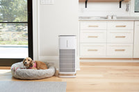 Cuisinart PuRXium Freestanding Air Purifier - CAP-1000C | Purificateur d’air amovible PuRXium de Cuisinart - CAP-1000C | CAP1000C
