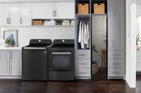 LG 5.5 Cu. Ft. Top-Load Washer and 7.3 Cu. Ft. Electric Dryer | Laveuse à chargement par le haut de 5,5 pi³ et sécheuse électrique de 7,3 pi³ de LG | LGTL780B