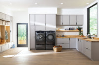 Electrolux 5.2 Cu. Ft. Front-Load Washer and 8 Cu. Ft. Electric Dryer - Titanium | Laveuse à chargement frontal de 5,2 pi³ et sécheuse électrique de 8 pi³ de Electrolux – titanes | ELFL763T