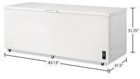 Frigidaire 24.8 Cu. Ft. Chest Freezer - FFCL2542AW | Congélateur coffre Frigidaire de 24,8 pi3 - FFCL2542AW | FFCL254W